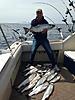 Lake Michigan Salmon Charter Fishing for Midwest Whitetail Hunt-bies-1st-day-june-26th.jpg