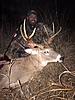 Kansas Whitetail-img_0352.jpg