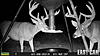 Texas deer hunt for Exotic or vacation for wife and I-hunt1989.jpg