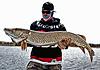 Northern Ontario Fishing Trip of a Lifetime!!-img_1413.jpg