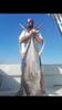 Louisiana Yellowfin Tuna fishing-screenshot_20180819-102550.png