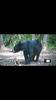 Black bear hunt.-screenshot_2018-08-28-10-41-14.png