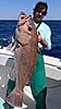 Florida Grouper and Snapper fishing or turkey hunt for Deer Hunt-c8238880-466a-4cc2-b4ed-40b884e22ff2.jpeg