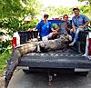 Florida Private Land Alligator Hunts-80740dcb-2adf-488d-b7c9-d2564d1dc1b0.jpeg