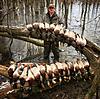 Arkansas Duck Hunt for big game hunt-775ec944-010d-48ba-ada3-12ad216aef94.jpeg