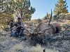 Rocky Mountain Elk hunt in eastern Oregon-img_2154.jpg