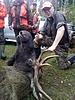Archery Moose / Whitetail Combo Hunts-img-20181021-wa0000.jpg