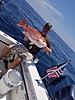 Gulf snapper and grouper - 3 days-img_8333.jpg