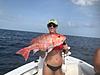 Gulf snapper and grouper - 3 days-img_8359.jpg