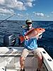 Gulf offshore snapper &amp; grouper - 3 day-img_8655.jpg