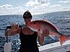 Gulf offshore snapper &amp; grouper - 3 day-img_8653.jpg