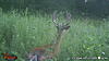 NorthWest Missouri Deer Hunt-wgi_0196.jpg