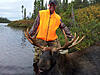 Moose hunt guided for big whitetail or mule deer-moose-55.jpg