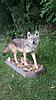 2014 NJ Coyote Is Done !!-20150913_124145.jpg