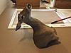 Mounted doe HELP-image.jpg
