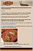 How to stop emails from newsletters?-scam.jpg