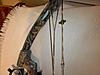 New Strings-0223112232b.jpg