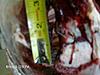 Broadhead Question-2bladeragecut170.jpg