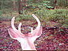 test-sunp0014.jpg