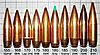 test post-marine-microchip.jpg