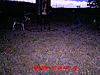 test score-deer-095.jpg