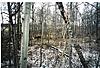 Test pic-alberta-large-.jpg