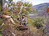 test-7201041483_corysbull.jpg