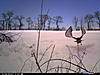 test-078.jpg