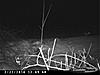 test-104.jpg