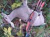 Favorite Brand of Recurve-dsc01336.jpg