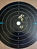 Another run with the .45 Hoyt rebarrel-hoyt-100-yards.jpg