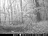 Some PA bucks!!-bear-mountain-pics-4247.jpg