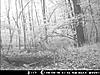 Some PA bucks!!-bear-mountain-pics-4319.jpg