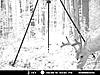 Not very happy about my moultrie I40 ;-(-mdgc0259-1800-x-1350-.jpg