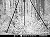 Not very happy about my moultrie I40 ;-(-mdgc0289-1800-x-1350-.jpg