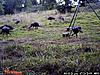 Wildgame Innovations Cam - Not Bad-pic1.jpg