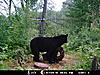 2010 Wisconsin Bear Baiting Pics-2010-bear-zone-dads-006.jpg