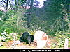 2010 Wisconsin Bear Baiting Pics-2010-bear-zone-dads-101.jpg