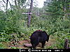 2010 Wisconsin Bear Baiting Pics-2010-bear-zone-dads-011.jpg