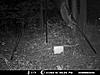 Since my camera is down, I need some help on figuring out how to stop these things-mdgc0112-1800-x-1350-.jpg