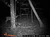 wildgame innovations ir3c-ir3c.jpg