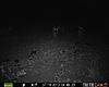one more nice buck from the truth cam, and a couple small ones-prms0199.jpg