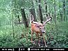 First time checking camera-mdgc0033.jpg