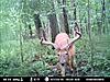 First time checking camera-mdgc0038.jpg