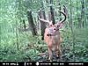 First time checking camera-mdgc0041.jpg