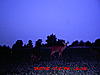 Couple of Pics-tall-spike.jpg