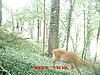 A mad doe-ricks-camera-028.jpg