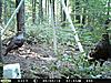 man do I have turkeys comin out my ears LOL D55-pict0094-1920-x-1440-.jpg