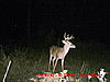 Best Buck on Cam so far-round-swamp-tater-spur-stand-455.jpg