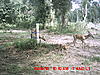 First Pics Ever!!!-mdgc0068.jpg